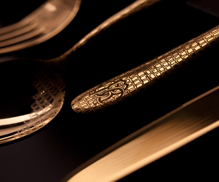 Widelec serwingowy Roberto Cavalli Lizzard Steel/Gold