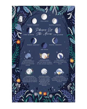 Ściereczka kuchenna Ulster Weavers Phases Of The Moon