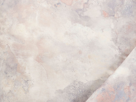 Pościel jersey Estella Caillou 6976-860