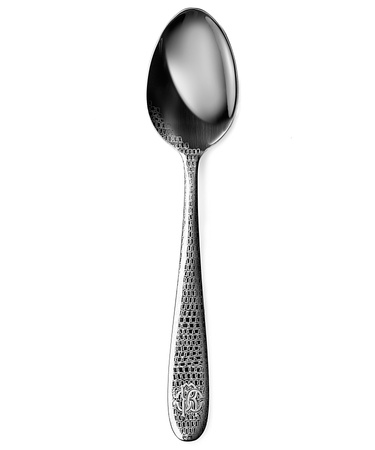 Łyżka serwingowa Roberto Cavalli Lizzard Steel 