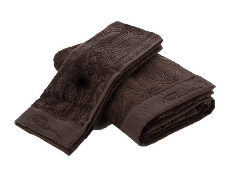 Ręcznik Logo 833 brown 100x150