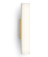 złoty